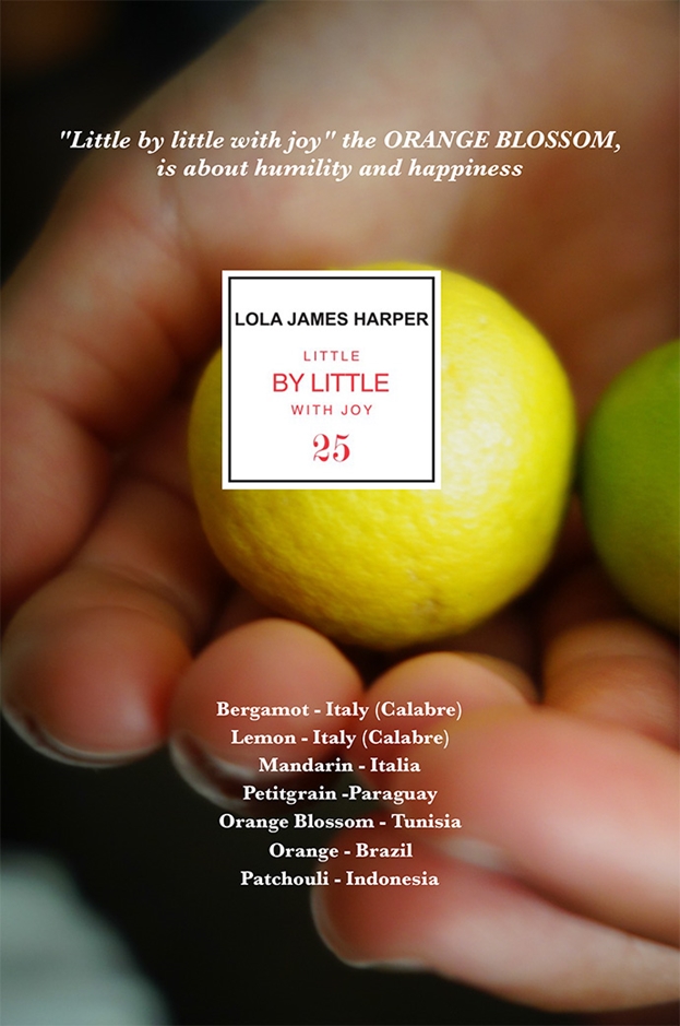 25 LITTLE BY LITTLE WITH JOY 50ml