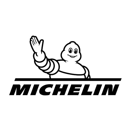 MICHELIN image